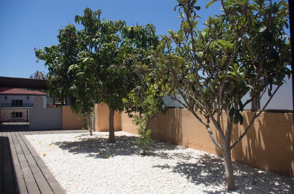 Villa La Marosca - Jacuzzi, Private Pool, 3 Bedrooms カレタ・デ・フステ エクステリア 写真